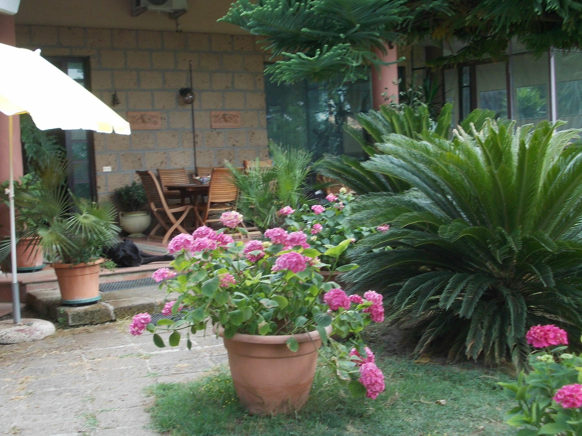 Bellavista Country House Pescara Exterior foto